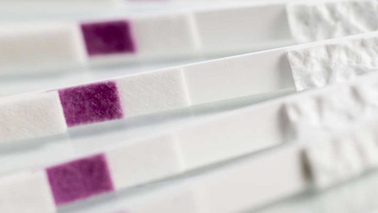 Tejtermékek vizsgálatára szolgáló készülékek és tesztek