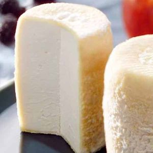 Charolais2