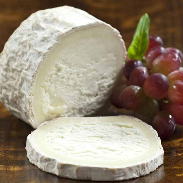 Chevre Bucheron1