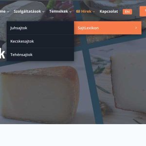 sajtlexikon post
