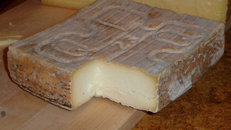 Taleggio
