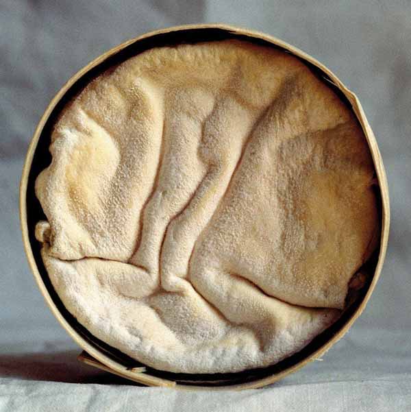 Vacherin Mont-d'Or 2 Vacherin Mont dOr3