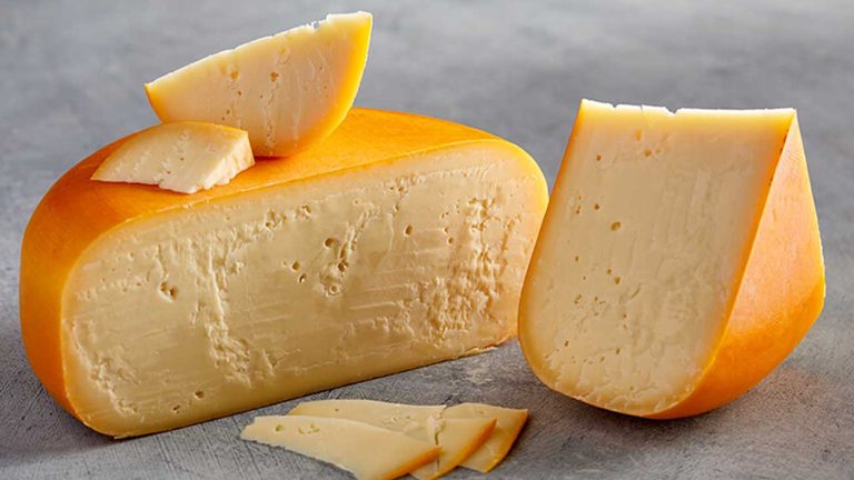 Gouda