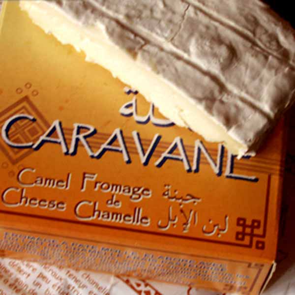 Caravane2