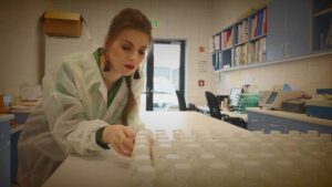 MESTERLESZEK 20250222 3