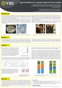 Algae Prototheca as a causative agent of bovine mastitis Poster CZ pdf