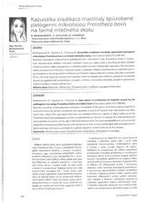 Beinhauerova Seydlova Crhanova case report of eridication of mastitis caused by Prototheca bovis CZ language pdf
