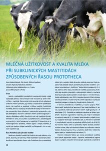 Fenotyparticle ProtothMastitMleko CZ language pdf