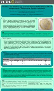 Identifikace rasy Prototheca spp. pomoci multiplexni qPCR pdf