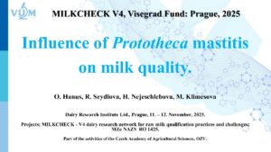 Influence of Prototheca mastitis Oto Hanus 2025 pdf